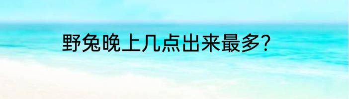 野兔晚上几点出来最多？