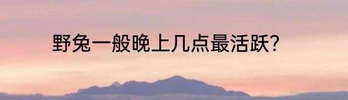 野兔一般晚上几点最活跃？