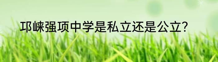 邛崃强项中学是私立还是公立？