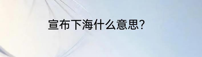 宣布下海什么意思？