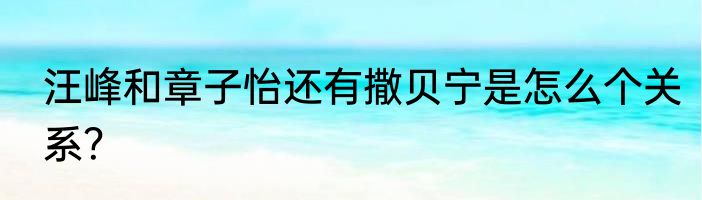 汪峰和章子怡还有撒贝宁是怎么个关系？