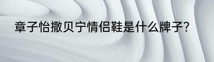 章子怡撒贝宁情侣鞋是什么牌子？