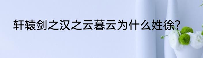 轩辕剑之汉之云暮云为什么姓徐？