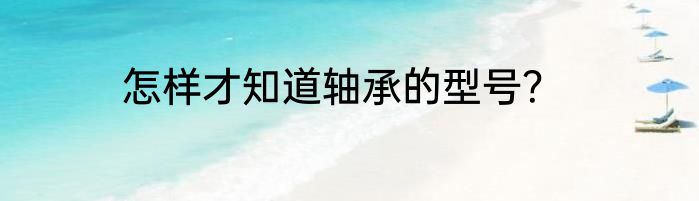 怎样才知道轴承的型号？