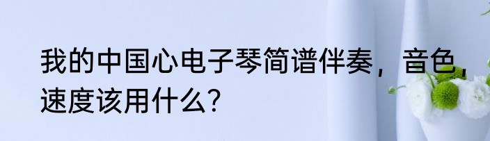 我的中国心电子琴简谱伴奏，音色，速度该用什么？