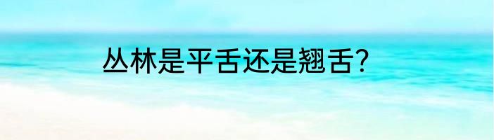丛林是平舌还是翘舌？