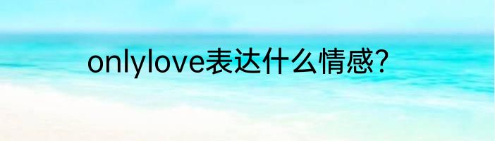 onlylove表达什么情感？