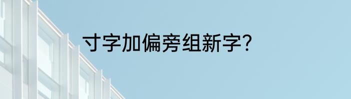 寸字加偏旁组新字？