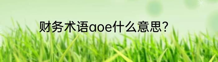 财务术语aoe什么意思？