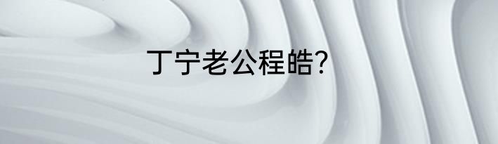 丁宁老公程皓？