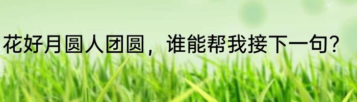 花好月圆人团圆，谁能帮我接下一句？