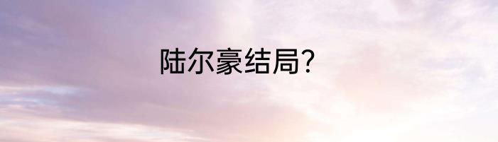 陆尔豪结局？