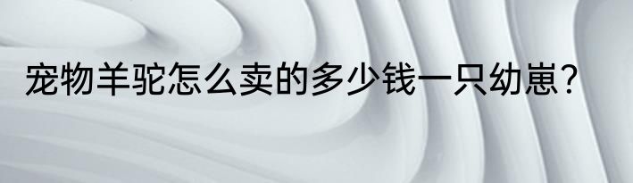 宠物羊驼怎么卖的多少钱一只幼崽？