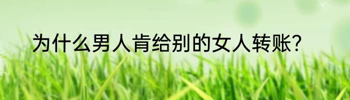 为什么男人肯给别的女人转账？