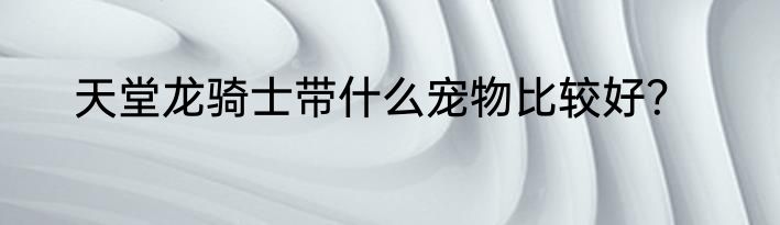 天堂龙骑士带什么宠物比较好？