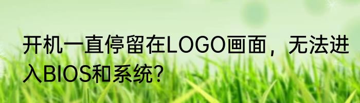 开机一直停留在LOGO画面，无法进入BIOS和系统？
