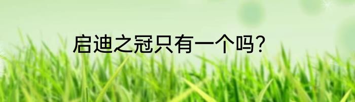 启迪之冠只有一个吗？