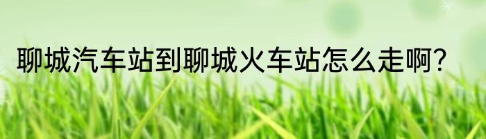 聊城汽车站到聊城火车站怎么走啊？