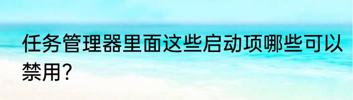 任务管理器里面这些启动项哪些可以禁用？