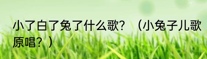 小了白了兔了什么歌？（小兔子儿歌原唱？）