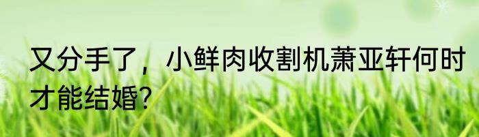 又分手了，小鲜肉收割机萧亚轩何时才能结婚？
