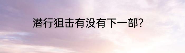 潜行狙击有没有下一部？