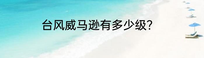 台风威马逊有多少级？