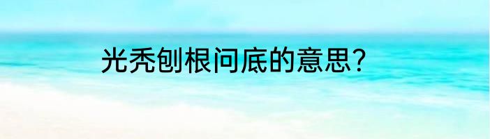 光秃刨根问底的意思？