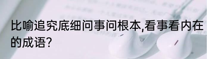 比喻追究底细问事问根本,看事看内在的成语？