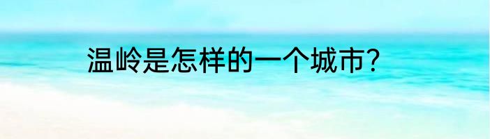 温岭是怎样的一个城市？