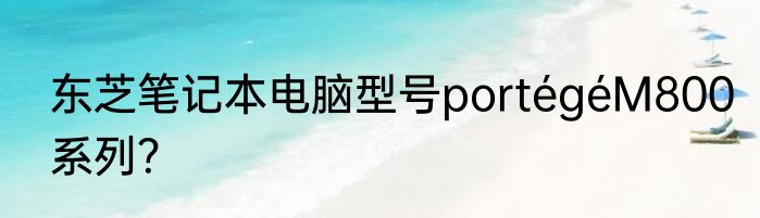 东芝笔记本电脑型号portégéM800系列？