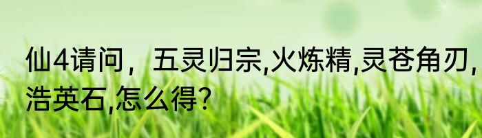 仙4请问，五灵归宗,火炼精,灵苍角刃,浩英石,怎么得？