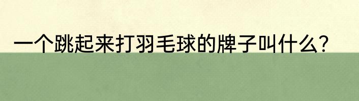一个跳起来打羽毛球的牌子叫什么？