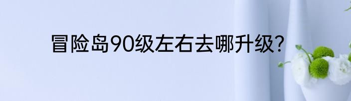 冒险岛90级左右去哪升级？