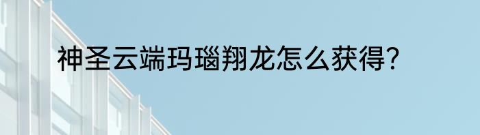 神圣云端玛瑙翔龙怎么获得？