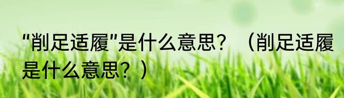“削足适履”是什么意思？（削足适履是什么意思？）