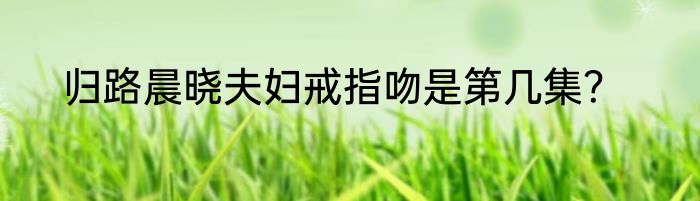 归路晨晓夫妇戒指吻是第几集？