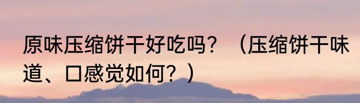 原味压缩饼干好吃吗？（压缩饼干味道、口感觉如何？）