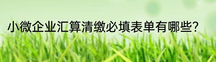 小微企业汇算清缴必填表单有哪些？