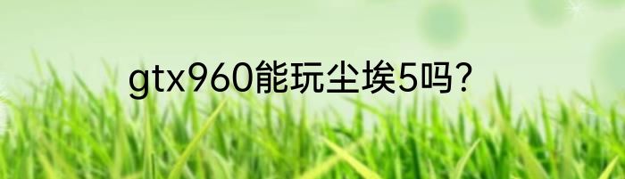 gtx960能玩尘埃5吗？