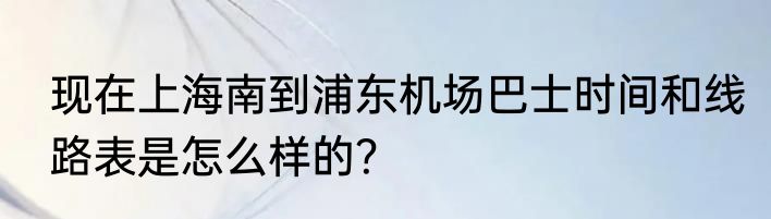 现在上海南到浦东机场巴士时间和线路表是怎么样的？