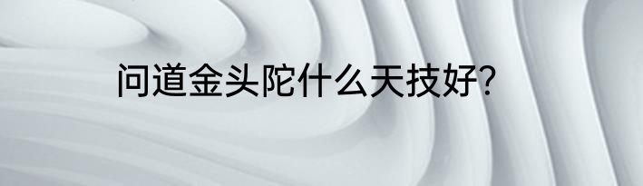 问道金头陀什么天技好？