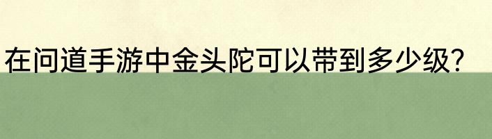 在问道手游中金头陀可以带到多少级？