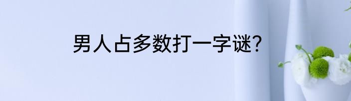男人占多数打一字谜？