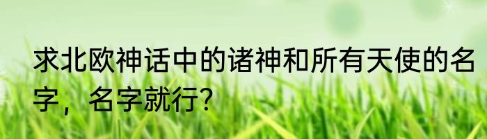 求北欧神话中的诸神和所有天使的名字，名字就行？