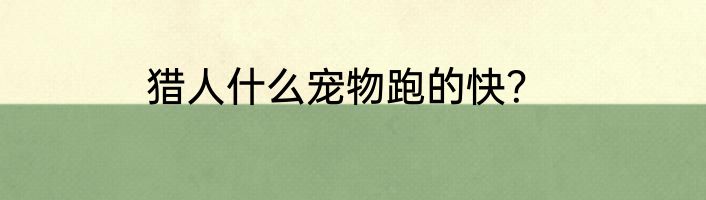 猎人什么宠物跑的快？