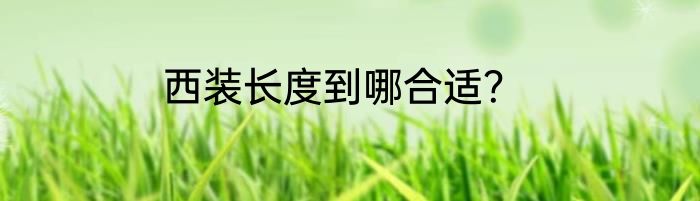 西装长度到哪合适？