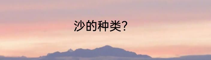 沙的种类？