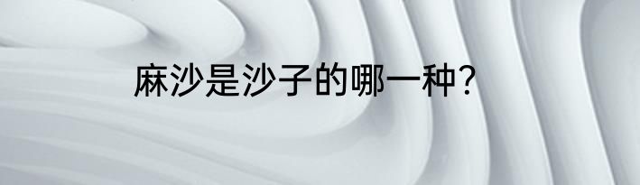 麻沙是沙子的哪一种？