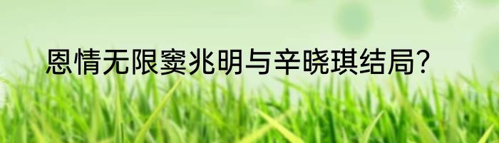 恩情无限窦兆明与辛晓琪结局？